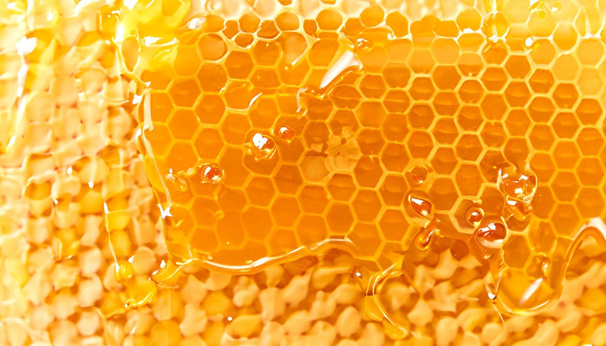 ภาพประกอบเนื้อหา สารสกัดจากพรอโพลิสจากผึ้ง (Bee Propolis Extract)